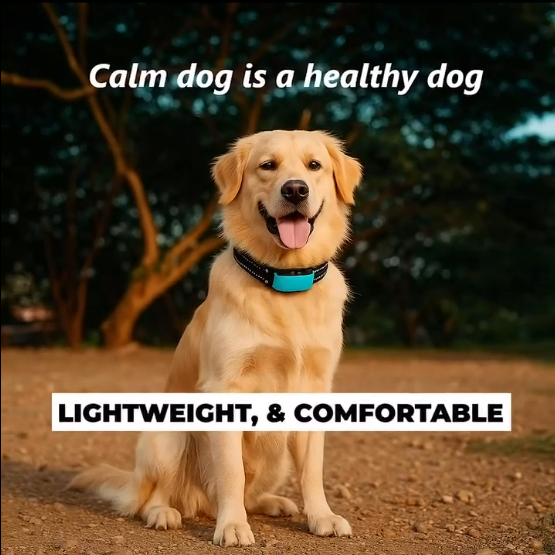 No Bark Dog Collar