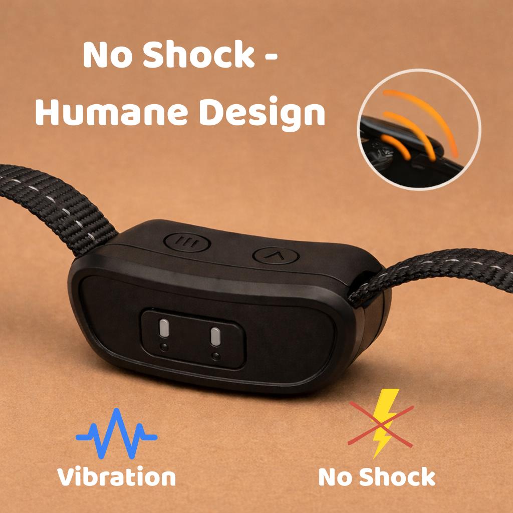No Bark Dog Collar