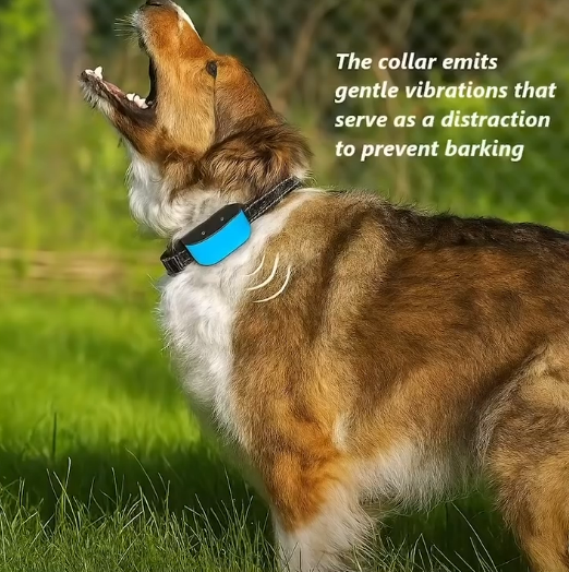 No Bark Dog Collar
