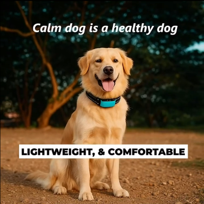 No Bark Dog Collar